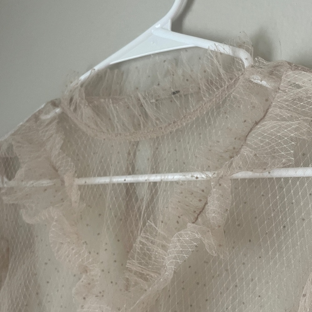 Chic Ruffled Sheer Blouse - Picture 2 of 4